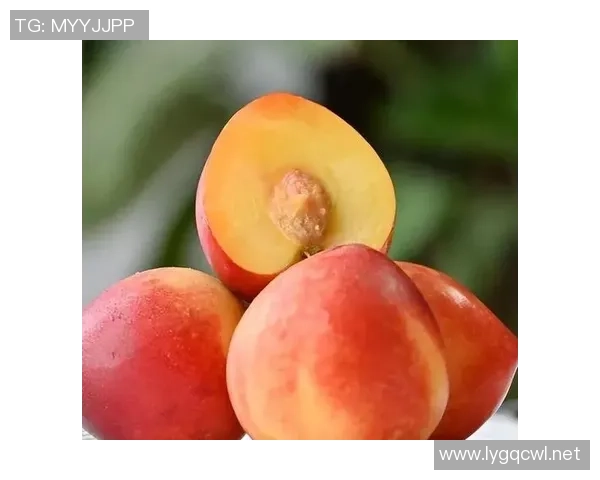 红桃品质严控之道,确保每一口都让您满意与安心 红桃品质严控之道,确保每一口都让您满意与安心