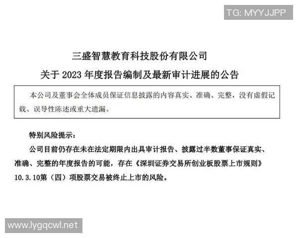 沐鸣2平台安全审计报告全面分析与风险评估建议