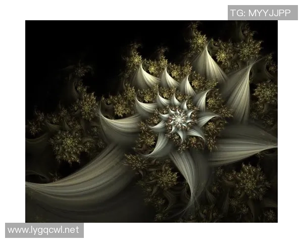 非凡娱乐未来产品路线图探索与创新的全新篇章