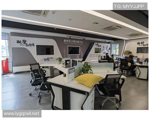 新宝GG创新绩效评估体系构建与实践探索分析报告 新宝GG创新绩效评估体系构建与实践探索分析报告