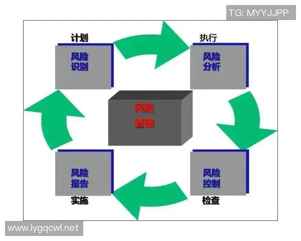 长运娱乐行业技术风险管控策略与实践探讨助力安全运营与可持续发展 长运娱乐行业技术风险管控策略与实践探讨助力安全运营与可持续发展