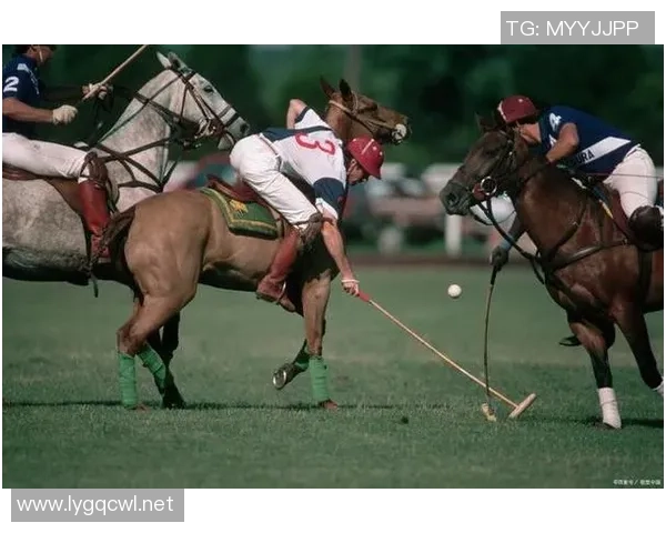 世界马球锦标赛传承贵族运动的辉煌与魅力